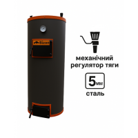 Твердотопливный котел Bizon D 10 кВт (5 мм)