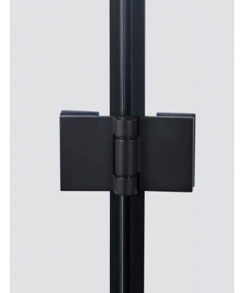 Душевая кабина Qtap Capricorn BLA10128RC6 120x80 см - фото №3, в окне